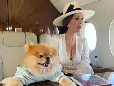 Peliharaan para Selebriti Dunia yang Kerap Ikut di Private Jet