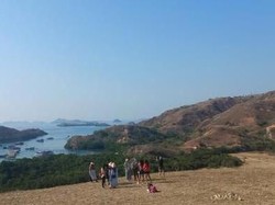 Pulau Rinca akan Dijadikan Jurassic Park Indonesia