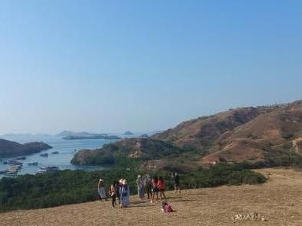 Pulau Rinca akan Dijadikan Jurassic Park Indonesia Pulau Rinca akan Dijadikan Jurassic Park Indonesia