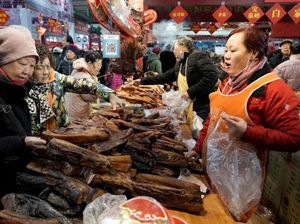 Sah! China Larang Makan Hewan Liar