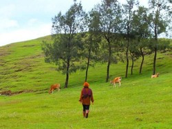 Timor Tengah Selatan, Destinasi Wisata Kebanggaan NTT