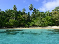 Turis Bertahan Hidup dengan Minum Air Hujan dan Makan Kelapa