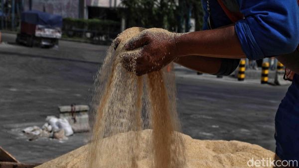 Dilema Gula Impor di Indonesia