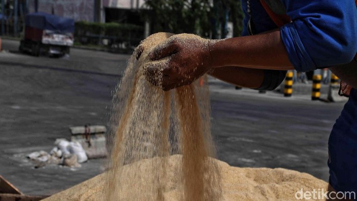 Dilema Gula Impor di Indonesia Gula menjadi salah satu materi pangan pokok yang diimpor pemerintah. Impor itu dilaksanakan untuk mempertahankan pasokan harga dan pasokan menjelang Ramadhan 2020.