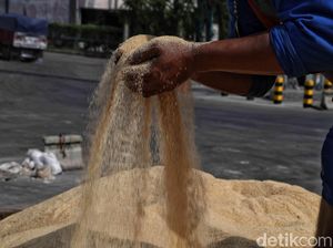 Biang Kerok Gula Makin Mahal: Harga Dunia Naik hingga Impor Turun Biang Kerok Gula Makin Mahal: Harga Dunia Naik hingga Impor Turun