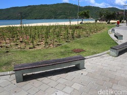 Kas Diprediksi Minus, BUMN Pengelola Mandalika Minta PMN Rp 500 M