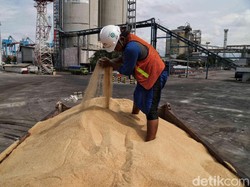 Kemenperin Pastikan Tak Terjadi Kelangkaan Gula Rafinasi di Jatim