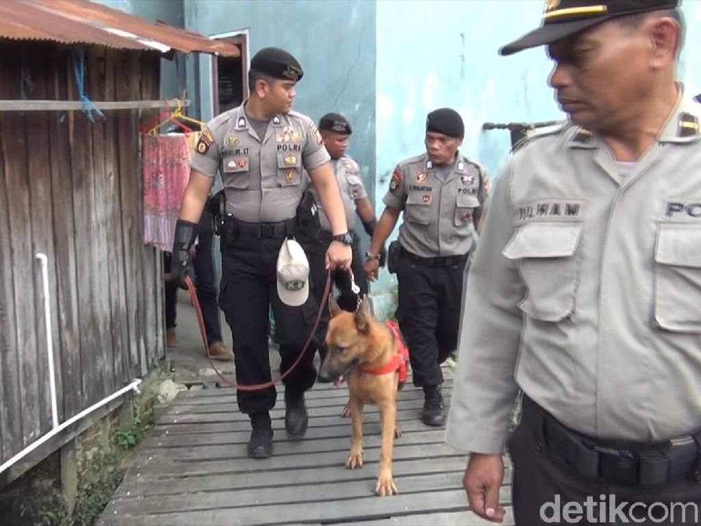 Cari Jejak Tewas Balita Yusuf, Anjing Pelacak Berulang Kali Mau Masuk Parit