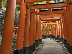 Jarang Terjadi, Kyoto Kini Sepi Turis
