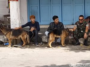 Komunitas Pecinta Anjing Blitar Turut Serta Amankan Persebaya Vs Arema