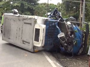 Sopir Ngantuk, Mobil Box Terguling Tabrak Pohon di Polman