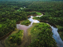Apakah Indonesia Masih Menjadi Paru-paru Dunia?