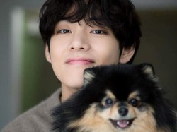 3 Tahun Berturut-turut, V BTS Dinobatkan Jadi Pacar Idaman Wanita Asia