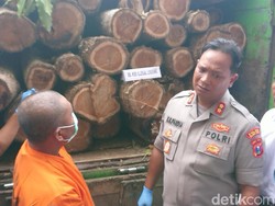 Puluhan Gelondongan Kayu Jati Hasil Pembalakan Liar Diamankan