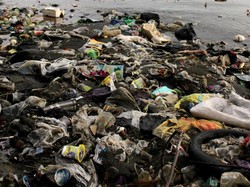 Tren Belanja Online Jadi Pemasok Sampah Plastik Terbanyak