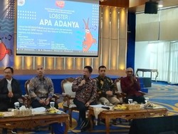 Tanpa Susi, Effendi Gazali Buka-bukaan Ekspor Benih Lobster