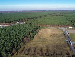 Proyek Gigapabrik Tesla di Jerman Dihentikan Pegiat Lingkungan