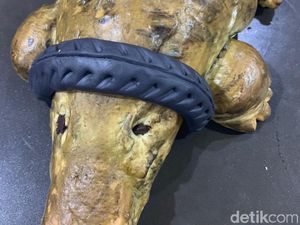 Mumpung Populer! Toko Roti Ini Jual Buaya Berkalung Ban