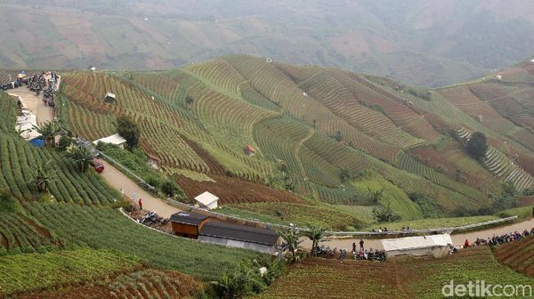 Lembah Panyaweuyan, Permadani Hijau Majalengka