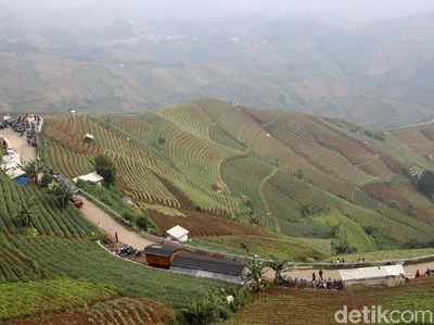 Lembah Panyaweuyan, Permadani Hijau Majalengka