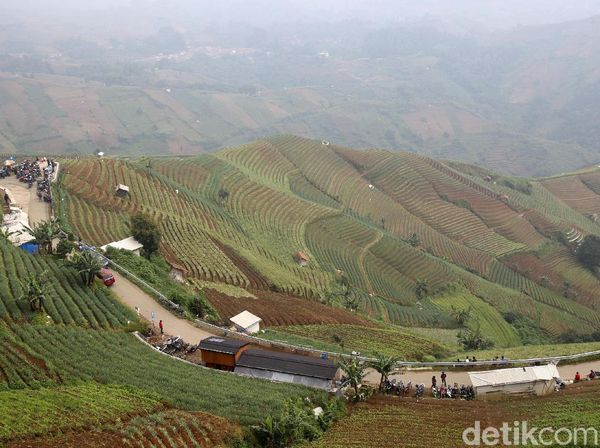 Lembah Panyaweuyan, Permadani Hijau Majalengka