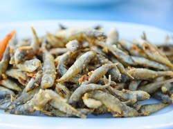 Studi Buktikan Ikan Teri dan Sarden Dapat Atasi Kasus Kekurangan Gizi di Dunia