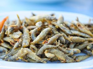 Studi Buktikan Ikan Teri dan Sarden Dapat Atasi Kasus Kekurangan Gizi di Dunia Studi Buktikan Ikan Teri dan Sarden Dapat Atasi Kasus Kekurangan Gizi di Dunia