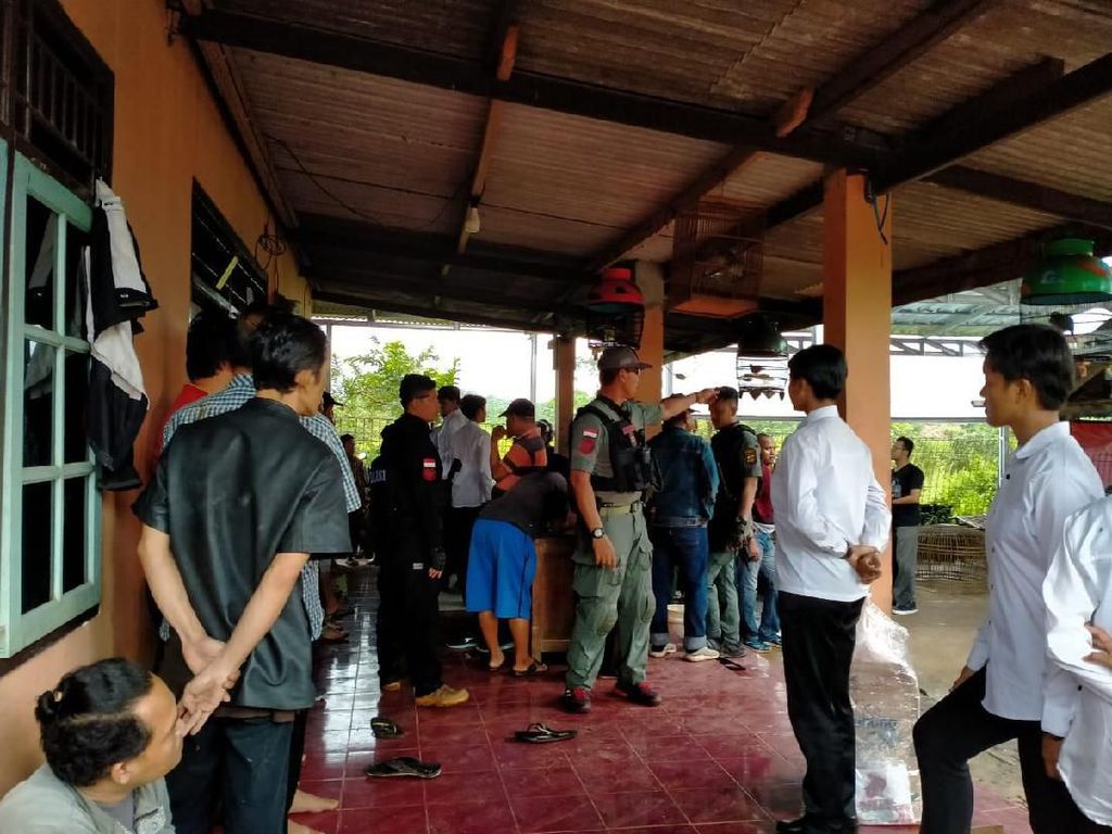 Polisi Gerebek Lapak Judi Sabung Ayam di Bogor, 17 Orang Ditangkap Polisi Gerebek Lapak Judi Sabung Ayam di Bogor, 17 Orang Ditangkap