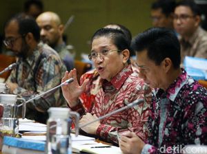 Freeport Laporkan Progres Pembangunan Smelter ke DPR