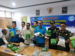 BNN Minta Oknum Aparat Terlibat Sindikat Narkoba Dihukum Mati