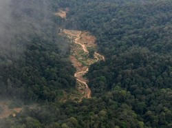 Siapa Pemilik Tambang Emas yang Izinnya Ditolak Wakil Bupati Sangihe?