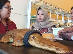 Tak Kunjung Ketemu saat Dicari, Buaya Berkalung Ban Malah Jadi Roti