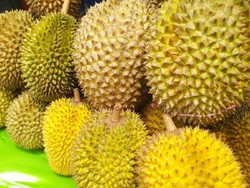 Festival Durian Kalijaya Hadirkan Durian Bernama Unik yang Manis Legit