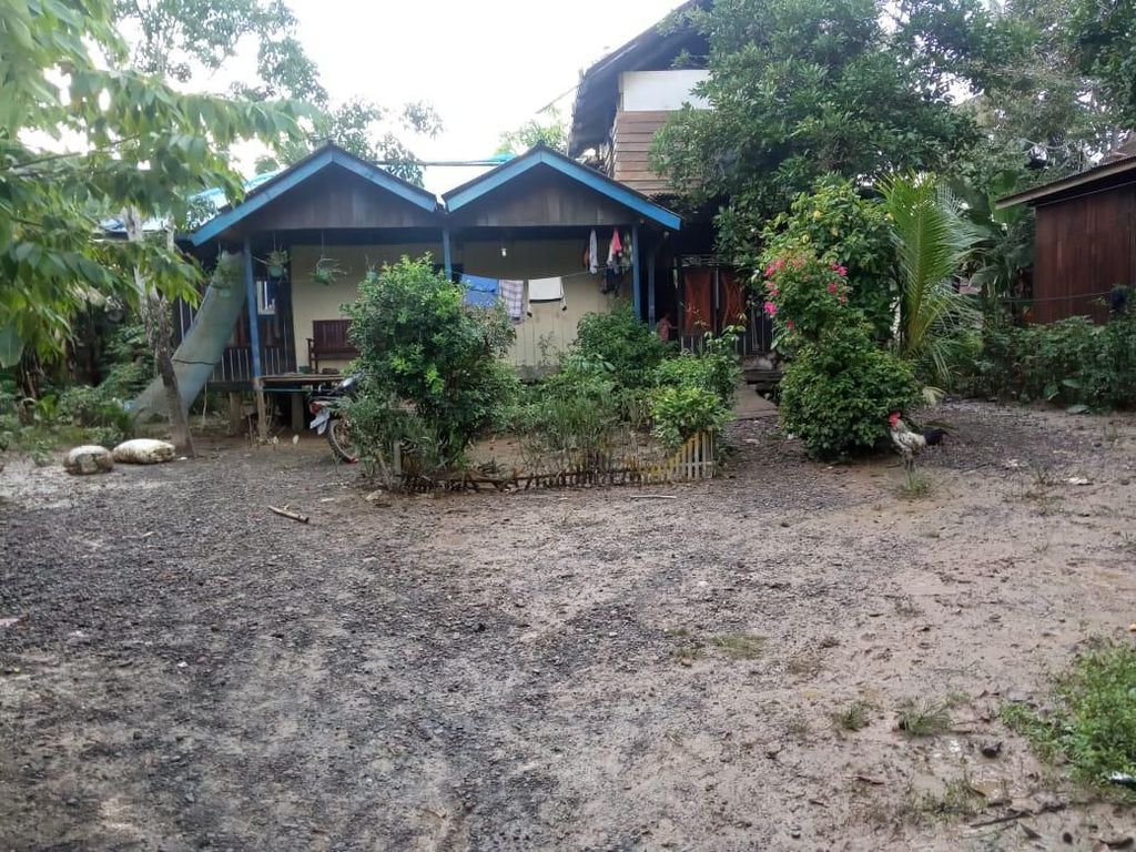 Desa Bukit Subur Terendam Banjir, Ini Kata Bupati Penajam Paser Utara Desa Bukit Subur Terendam Banjir, Ini Kata Bupati Penajam Paser Utara