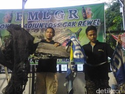 Viral, Basecamp Bonek di Kota Madiun Diduga Dibakar