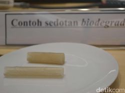 Ada Sedotan dari Biji Nangka, Bisa Dimakan Lho!