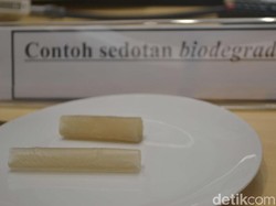 Ada Sedotan dari Biji Nangka, Bisa Dimakan Lho!