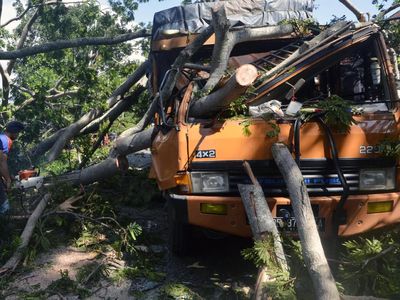 Duh, Truk Ini Jadi Korban Pohon Tumbang di Lampung