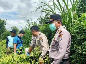 Pria Ini Tembak Pencuri Cabai hingga Tewas Pakai Senapan Angin Saat Berburu