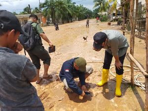 Heboh Penemuan Jejak Kaki Harimau di Sumsel, BKSDA Sebut Kucing Hutan