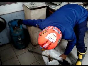 Kobra Kecil Diamankan di Rumah Dekat Restoran Cepat Saji, Jaktim