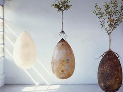 Ini Inovasi Kuburan Ramah Lingkungan, Kamu Bisa Jadi Pohon Saat Meninggal