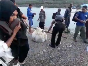 Nelayan di Buton Selatan Temukan Tulang Manusia Tanpa Kepala Nelayan di Buton Selatan Temukan Tulang Manusia Tanpa Kepala