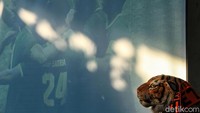 Dalam pertandingan ini, Persija memperkecil kedudukan lewat Marko Simic.