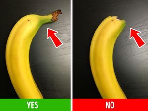 Cara Mudah Cek Kualitas Makanan, Telur hingga Pisang Cara Mudah Cek Kualitas Makanan, Telur hingga Pisang