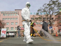 LBM Nilai RI Punya Kemampuan Deteksi Corona, tapi Tak Merata