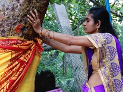 Pohon Beringin Berumur 550 Tahun Ini Ikon Jomblo Terbesar Dunia