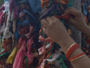 Foto: Pohon Beringin Sakral Tanda Kesuburan