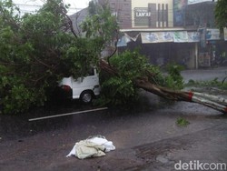 Hujan Disertai Angin Kencang Terjang Kota Blitar, Puluhan Pohon Tumbang