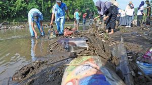 Bersih-bersih di Hari Peduli Sampah Nasional